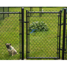 Chain Link portão e vedação (TS-L76)